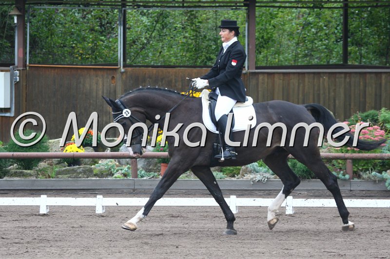 009M8848_Creton_Dressurpf L.JPG